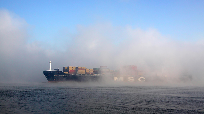 MSC Flaminia