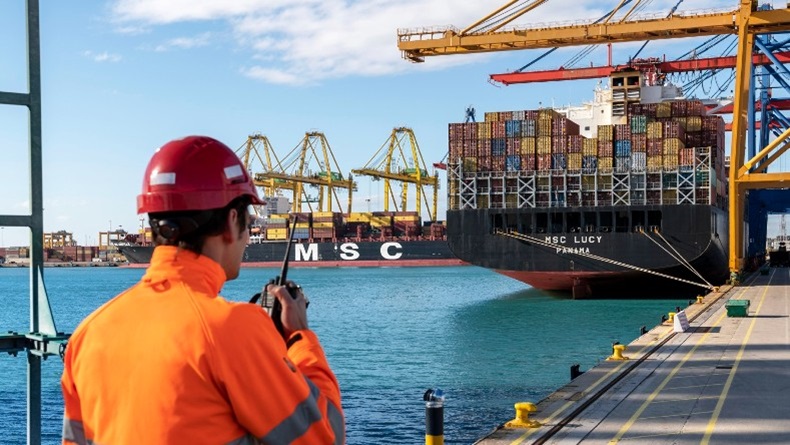 MSC Lucy Credit MSC 