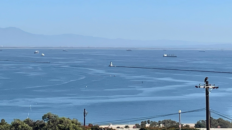 Los Angeles Long Beach. San Pedro Bay terminals.     Credit:  Marine Exchange of Southern California