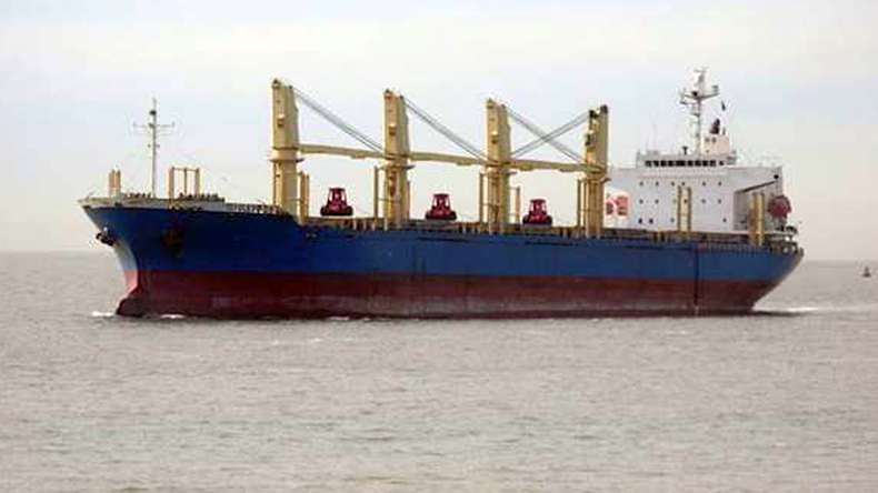 Bulk carrier ship Blue Cecil at sea