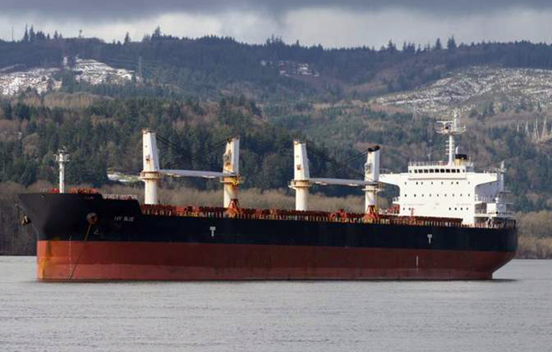 Dry bulker Ivy Blue at river