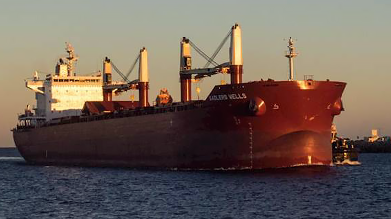 Dry bulker Sadlers Wells at port