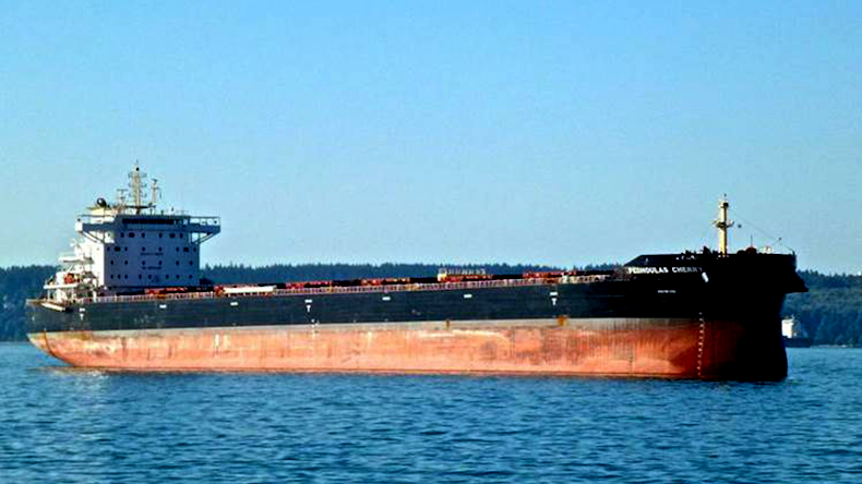 Pedhoulas Cherry dry bulker at sea
