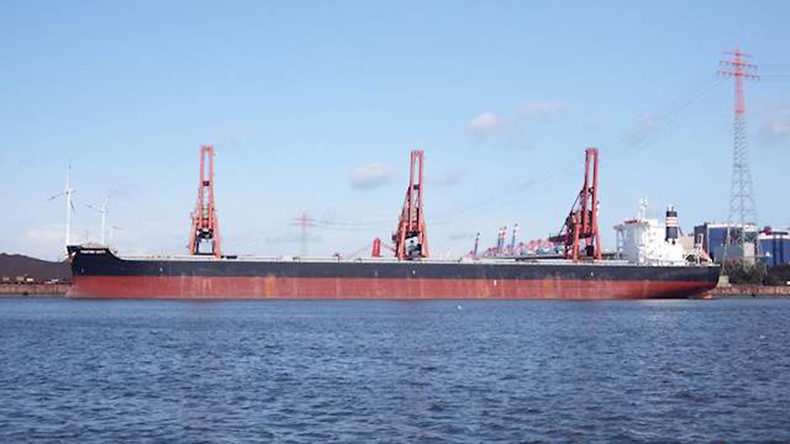 Bulk carrier Frontier Unity
