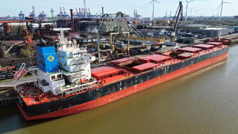 Bulk carrier Golden Frost at Hamburg port