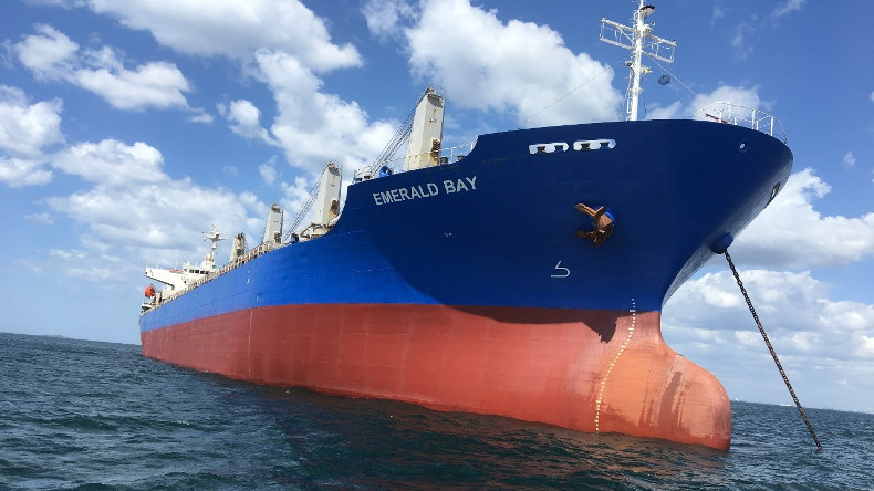 Pioneer Marine bulker Emerald Bay