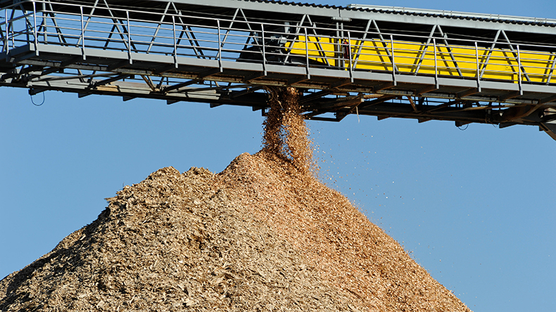 Loading wood biomass
