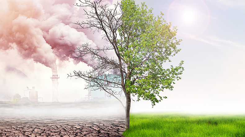 Net zero air pollution with a tree