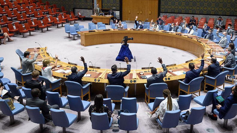 United Nations security council. Credit: United Nations 