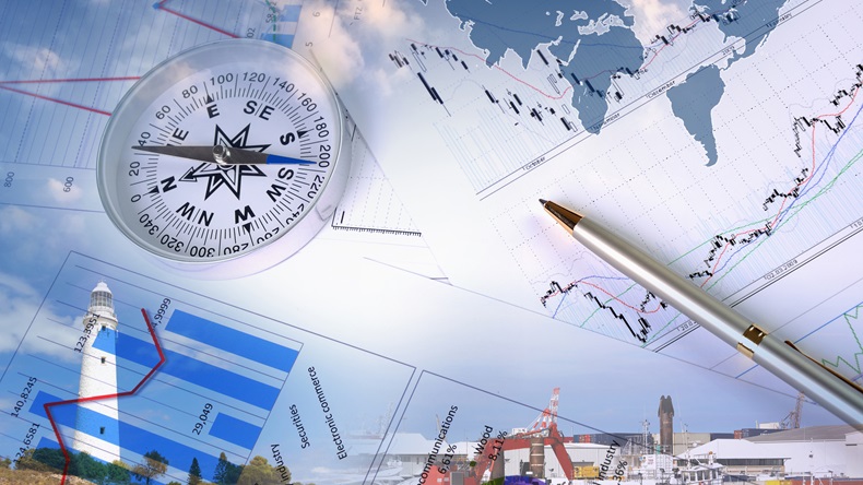 Insurance risk generic 4  Sergey Nivens Shutterstock