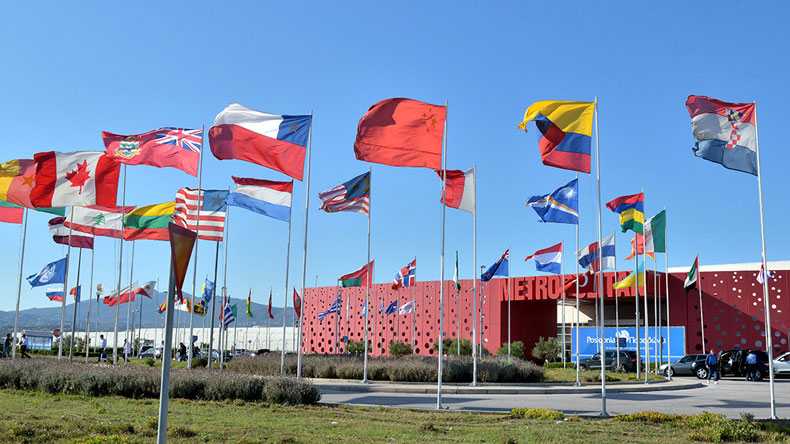 Posidonia flags 