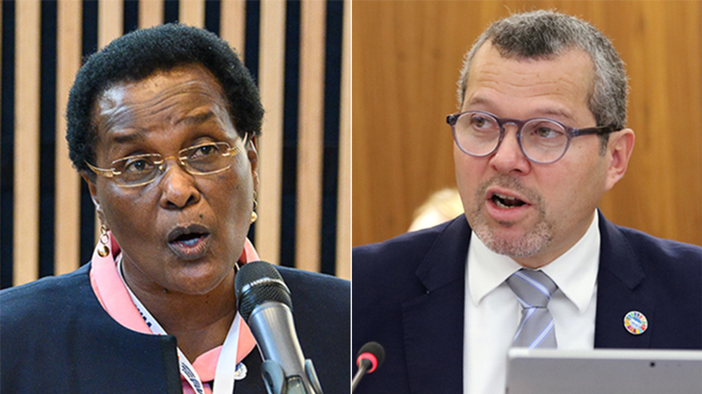 Nancy Karigithu Arsenio Dominguez IMO