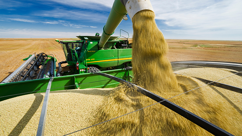 Combine harvester unloads into a grain wagon during the lentil harvest in Saskatchewan, Canada