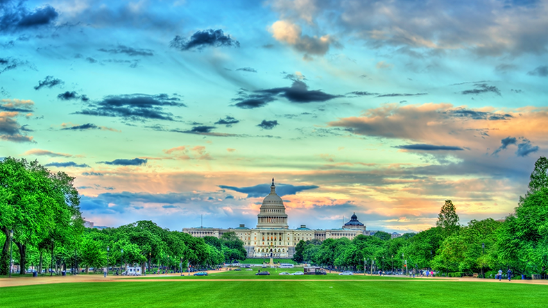  The United States Capitol on the National Mall in Washington, DC