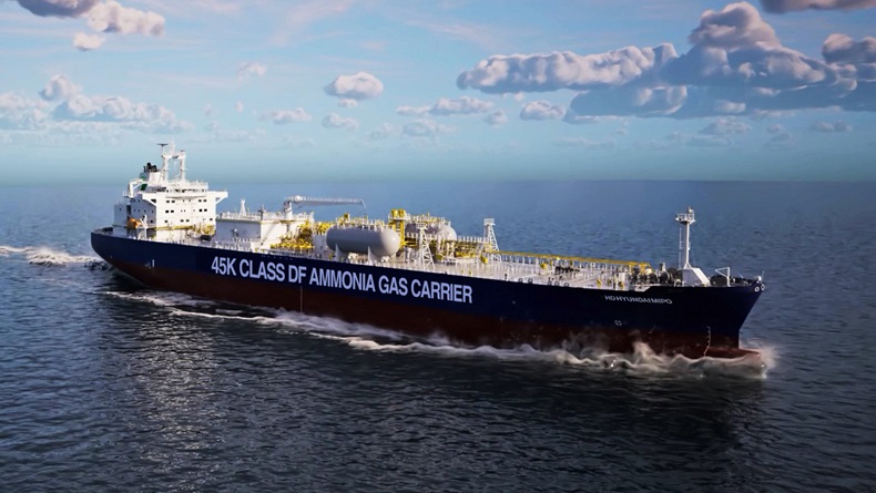HD HMD vessel image