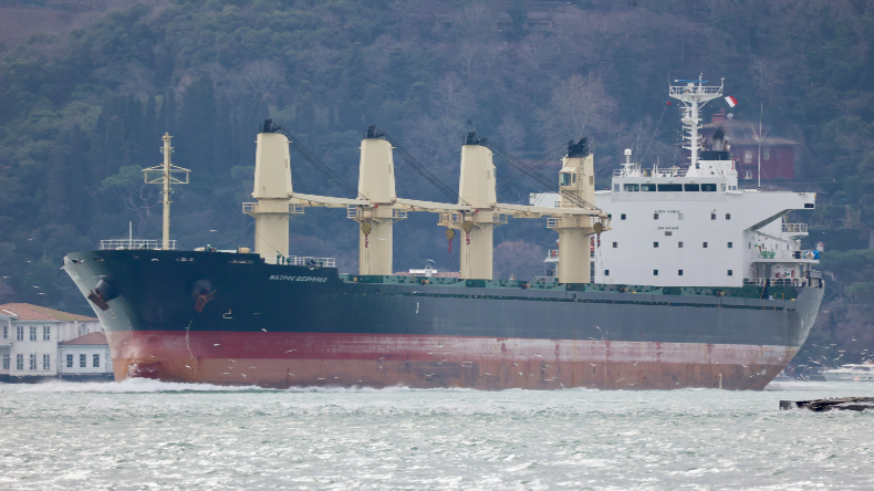 Matros Shevchenko passing through the Bosporus Strait towards Kavkaz 