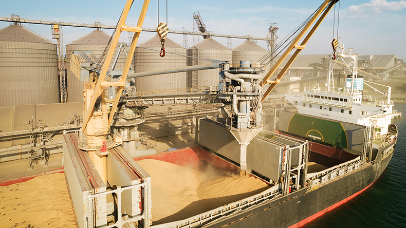 Loading grain into holds of bulk carrier at Odesa