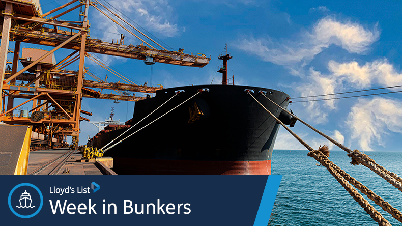 Sohar port in Oman with cargoships at dock
